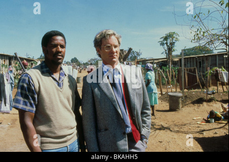 SCHREI-FREIHEIT (1987)-DENZEL WASHINGTON, KEVIN KLINE CRF 027 Stockfoto