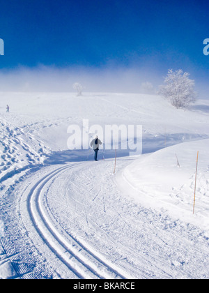 Skifahrer Ski Cross / Skifahren in Nut Track in den französischen Alpen Resort: Plateau De Sur Lyand. Ain-Departement Frankreichs. Stockfoto