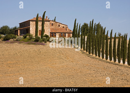 Toskana, Italien Stockfoto