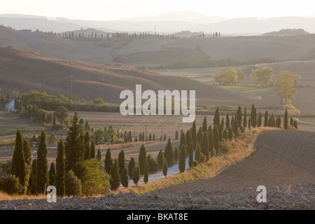 Morgennebel in Toskana, Italien Stockfoto