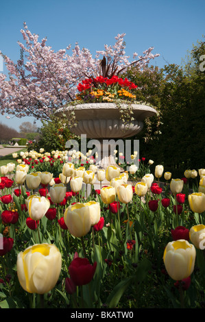 Regents Park im Frühjahr Stockfoto