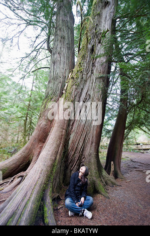 alten Waldbestands im Cathedral Grove MacMillan Provincial Park, Vancouver Island, British Columbia, Kanada Stockfoto