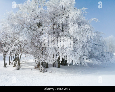 Französisch / Frankreich Winter Schnee Landschaft in den französischen Alpen Resort des Plateau De Sur Lyand. Ain-Departement Frankreichs. Stockfoto