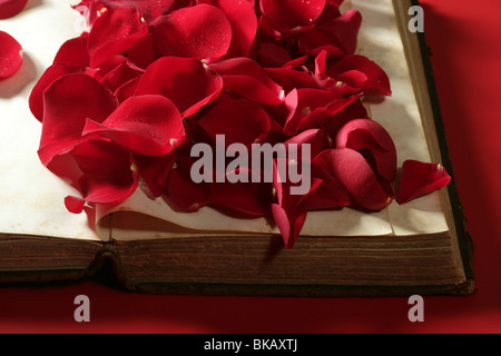 Rosenblüten über alte Alter Buch, roten Hintergrund Stockfoto