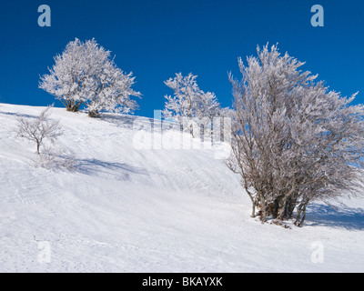 Französisch / Frankreich Winter Schnee Landschaft in den französischen Alpen Resort des Plateau De Sur Lyand. Ain-Departement Frankreichs. Stockfoto