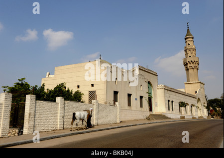 Die Zabbaleen, eine ägyptische Gemeinschaft vor allem koptische Christen, die sich sammeln, recyceln und entsorgen die Stadt Kairo Stockfoto