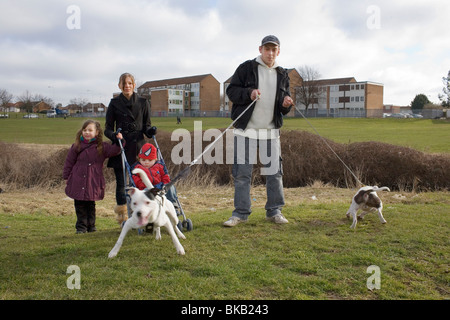 Eine Familie auf dem Park Land neben einer Wohnsiedlung gehen ihre zwei Hunde "gefährlich". Stockfoto