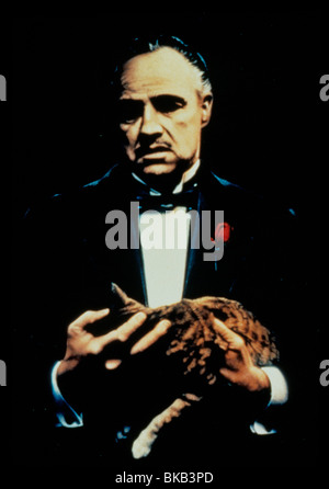 DER PATE (1972) MARLON BRANDO GODF 098 L Stockfoto