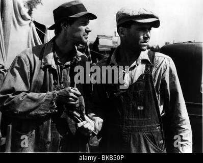 DIE TRAUBEN DER WRATH(1940) JOHN CARRADINE, HENRY FONDA GOWR 006P Stockfoto