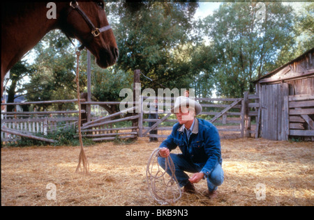 DAS PFERD WHISPERER (1998) ROBERT REDFORD HRWH 004 Stockfoto