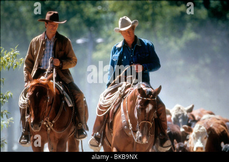 DAS PFERD WHISPERER CHRIS COOPER, ROBERT REDFORD HRWH 015 Stockfoto