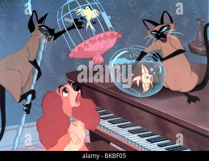 SUSI UND STROLCH (ANI - 1955) ANIMIERTE CREDIT DISNEY LATT 005FOH Stockfoto