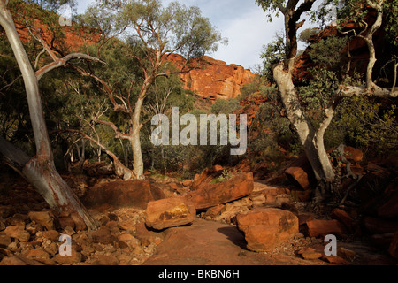 Kings Canyon, Teil des Watarrka National Park, Northern Territory, Australien Stockfoto