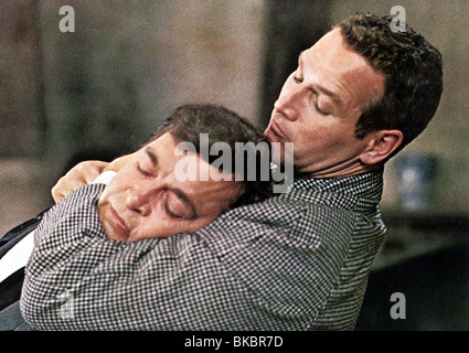 ZERRISSENE VORHANG (1966) PAUL NEWMAN TRCT 006FOH Stockfoto