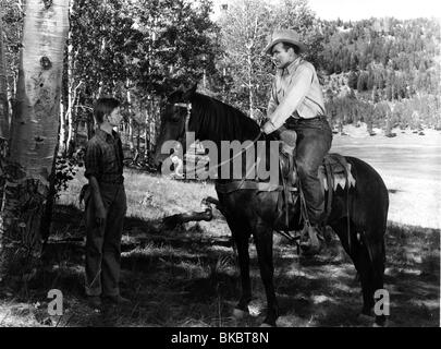 Mein Freund FLICKA (1943) RODDY McDOWALL, PRESTON FOSTER MFFK 002P L Stockfoto