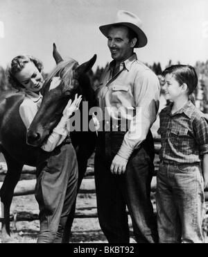 Mein Freund FLICKA (1943) PRESTON FOSTER, RODDY McDOWALL MFFK 005P Stockfoto