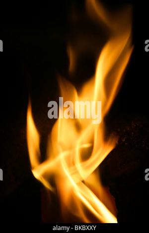 Orange Feuer brennende Flammen auf schwarzem Hintergrund Stockfoto