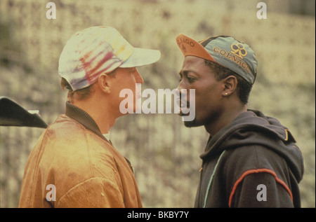 WEIßE MÄNNER KÖNNEN NICHT SPRINGEN, (1992) WOODY HARRELSON, WESLEY SNIPES WMC 041 Stockfoto