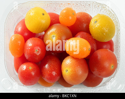 Kleine Kirsche variiert Multi Farbe Tomaten, im Studio, weißer Hintergrund Stockfoto