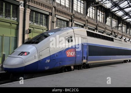 Eisenbahn-station, TGV-Zug im Bahnhof Gare de Lyon, Paris Stockfoto