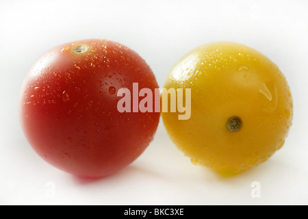 Kleine Kirsche variiert Multi Farbe Tomaten, im Studio, weißer Hintergrund Stockfoto
