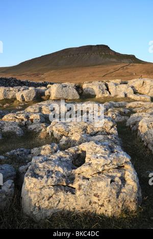 Eine Ansicht von Pen-y-Gent, ein Berg in den Yorkshire Dales und eines der drei Zinnen Stockfoto