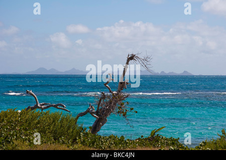 Ein Blick auf St. Barthélemy und Ile Fourchue Ilet Pinel (Pinel Island) Orient Bay, St. Martin Stockfoto