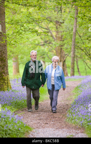 Ein Elederly Ehepaar zu Fuß durch ein Bluebell Holz an den Ufern des Coniston Water UK Stockfoto