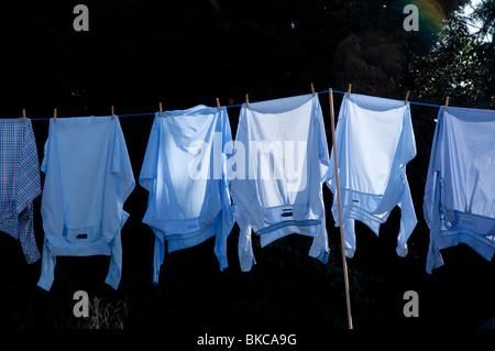 T-Shirts zum Trocknen auf die Wäscheleine gehängt. Stockfoto