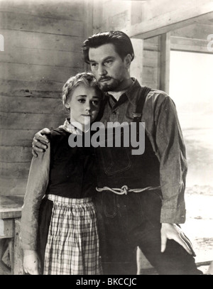 49TH PARALLEL (1941) NEUNUNDVIERZIGSTEN PARALLEL (ALT) GLYNIS JOHNS, ANTON WALBROOK FNPL 007P Stockfoto
