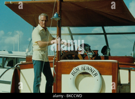 ABWESENHEIT VON BOSHEIT (1981) PAUL NEWMAN ABML 012 Stockfoto