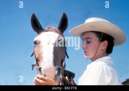 BIG COUNTRY (1958) JEAN SIMMONS BGCY 001 Stockfoto