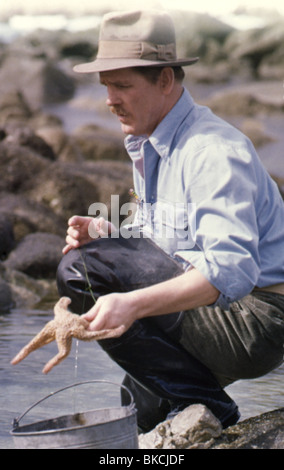 CANNERY ROW-1982 NICK NOLTE Stockfoto