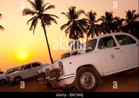 Sonnenuntergang am Taxistand mit Kokosnuss-Palmen, Hawa Strand, Kovalam, Kerala, Indien Stockfoto