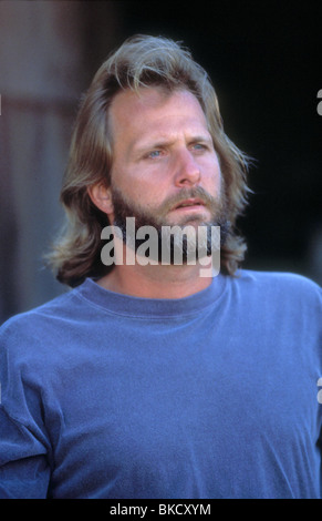 FLY AWAY HOME (1996) JEFF DANIELS FAWH 004 Stockfoto