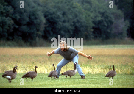 FLY AWAY HOME (1996) JEFF DANIELS FAWH 039 Stockfoto