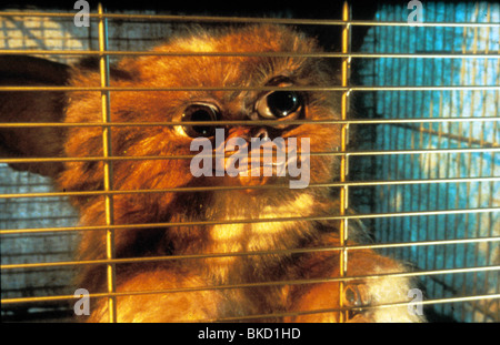 GREMLINS – KLEINE MONSTER-1984 Stockfoto
