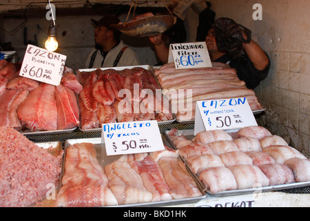 Frisch gefangen Fisch zum Verkauf auf dem berühmten täglichen Fischmarkt in Ensenada, Mexiko. Stockfoto