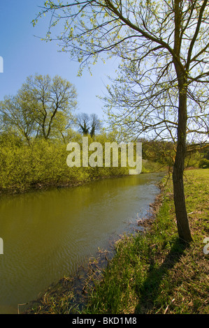 Der Fluss Cherwell in Oxfordshire, sonnigen Tag, blauer Himmel Stockfoto