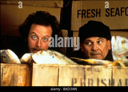 HOME ALONE 2: LOST IN NEW YORK (1992) DANIEL STERN, JOE PESCI HM2 061 Stockfoto