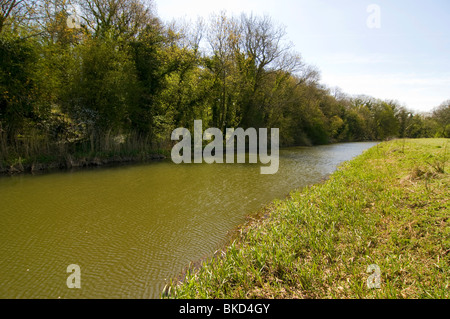 Der Fluss Cherwell in Oxfordshire, sonnigen Tag, blauer Himmel Stockfoto