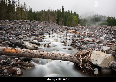 Felsigen Trümmern Becken der Nisqually Fluss fließt vom Gletscher schmelzen von Mount Rainier, Washington Stockfoto