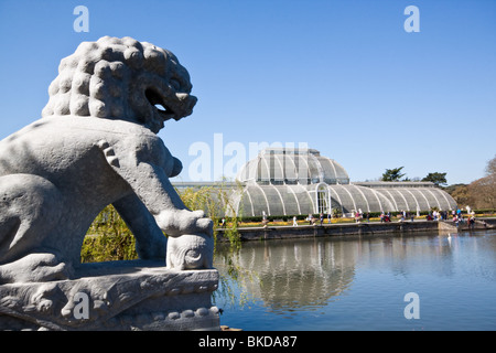 Das Palmenhaus in Kew Gardens Stockfoto