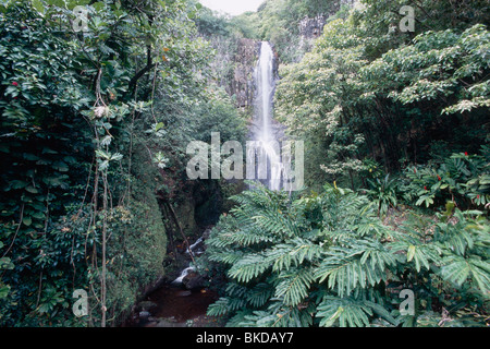 Wasserfall auf Hana Highway, Wailua Falls, Maui, Hawaii Stockfoto