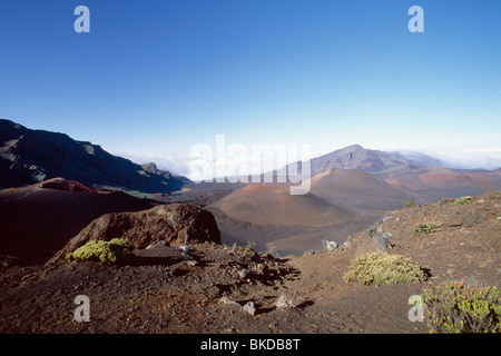 High Angle View of Schlackenkegel in einem vulkanischen Krater, Mauai, Hawaii Stockfoto