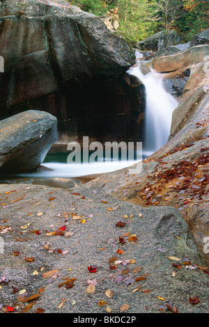 Kaskaden von Becken, Franconia Notch State Park, White Mountains, New Hampshire Stockfoto