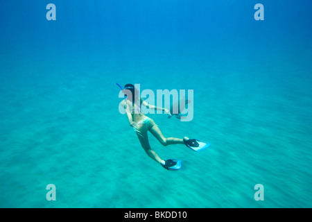 Schnorchler schwimmt tief im Meer mit einer Schildkröte. Stockfoto