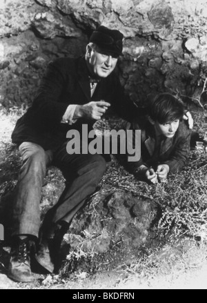 LASSIE COME HOME (1943) DONALD CRISP, RODDY MCDOWALL LCHO 034 Stockfoto