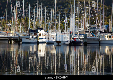 Yachten vertäut am Yachthafen von Royal Yacht Club in Sandy Bay, Tasmanien, Hobart, Tasmanien, Australien Stockfoto