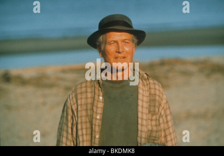 NACHRICHT IN EINER FLASCHE (1999) PAUL NEWMAN MSIB 103 Stockfoto